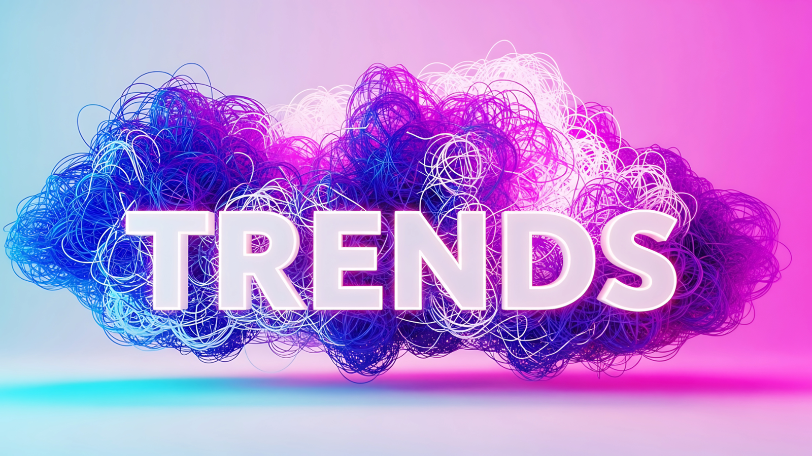 Tampa Web Design Trends